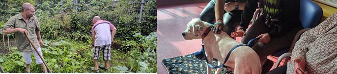 Eco-huerto y terapia con animales