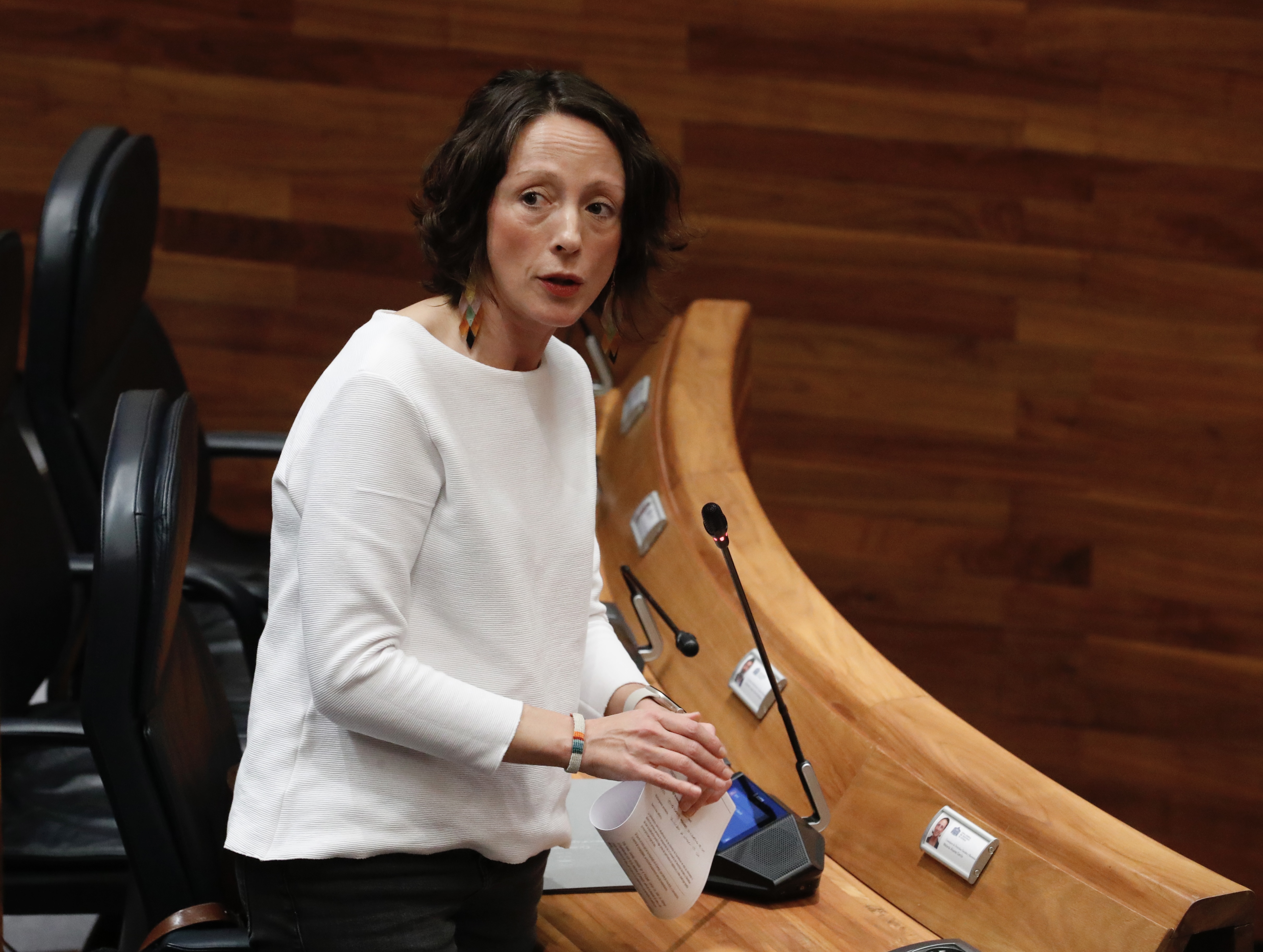 La consejera de Derechos Sociales y Bienestar, Melania Álvarez, en el pleno de la Junta General