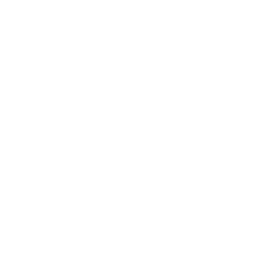 page-icon